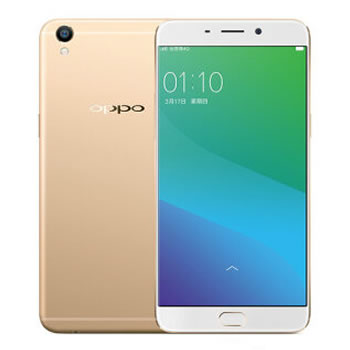 哈爾濱OPPO R9plus 4GB+64GB內(nèi)存版 金色 雙卡雙待 全網(wǎng)通4G手機(jī)總代理批發(fā)兼零售，哈爾濱購網(wǎng)www.hrbgw.com送貨上門,OPPO R9plus 4GB+64GB內(nèi)存版 金色 雙卡雙待 全網(wǎng)通4G手機(jī)哈爾濱最低價格